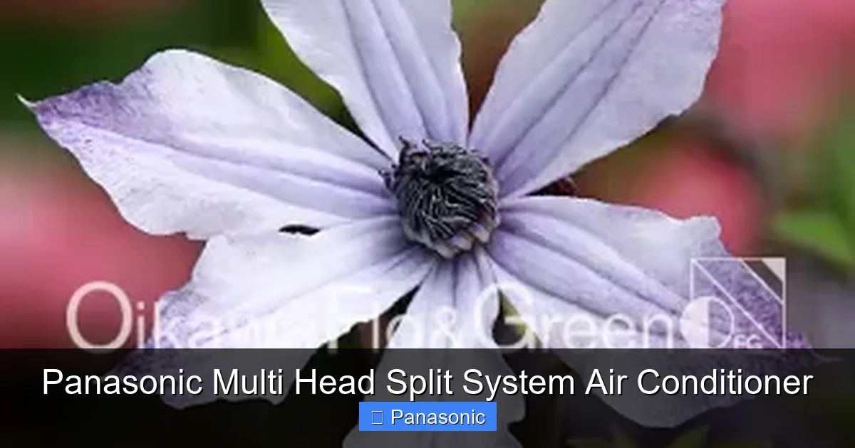 Panasonic Multi Head Split System Air Conditioner