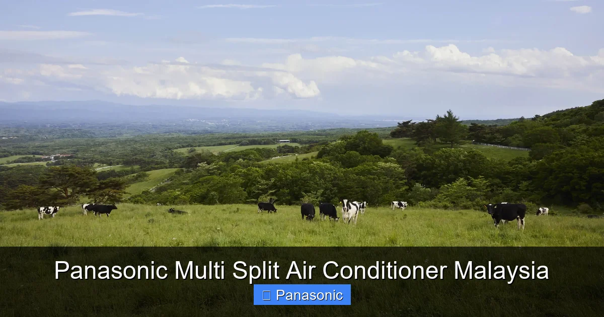 Panasonic Multi Split Air Conditioner Malaysia