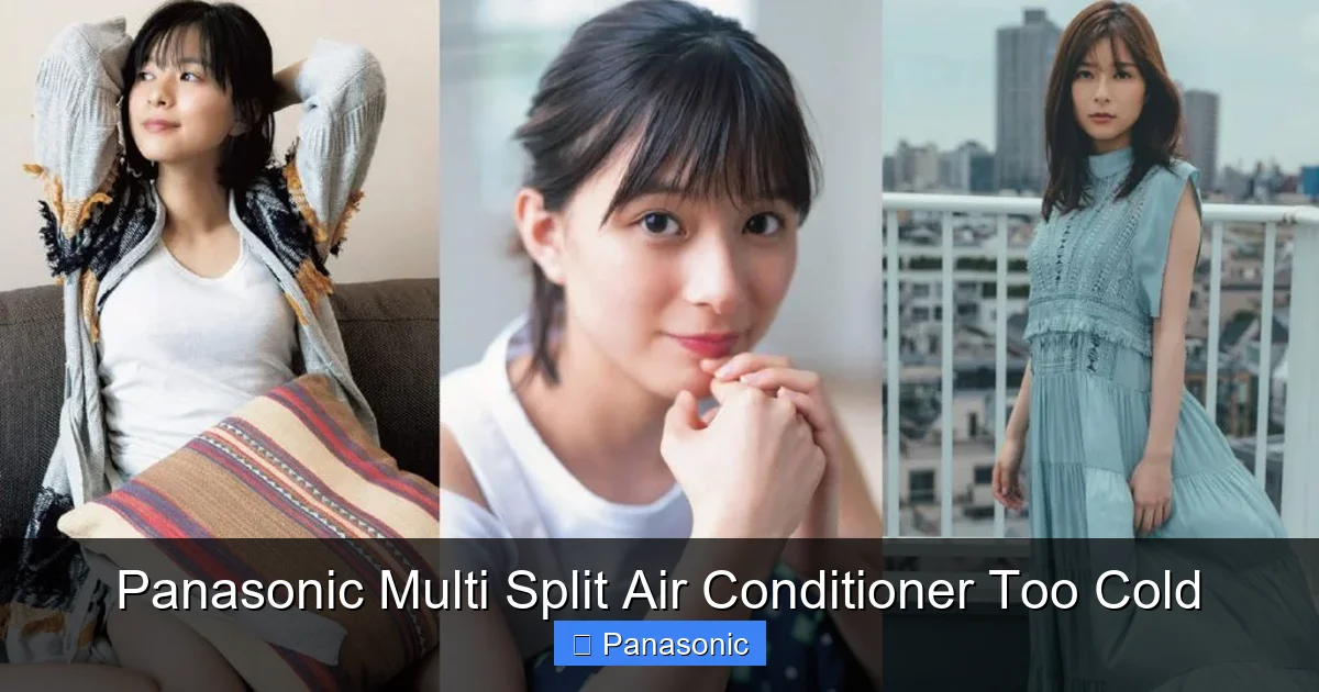 Panasonic Multi Split Air Conditioner Too Cold