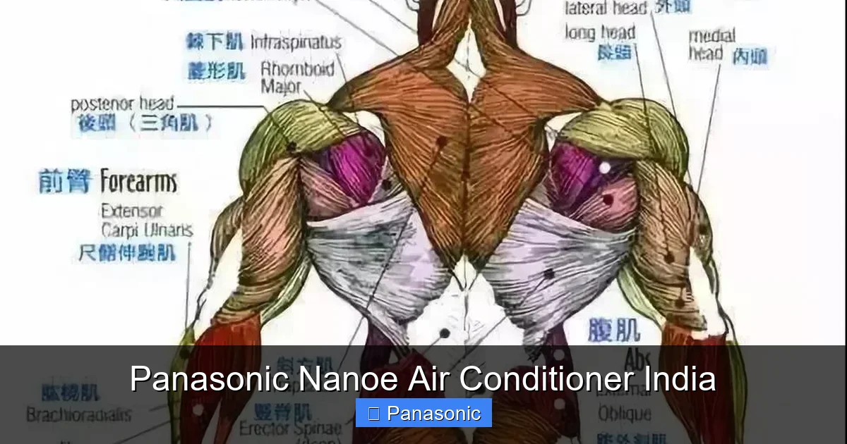 Panasonic Nanoe Air Conditioner India
