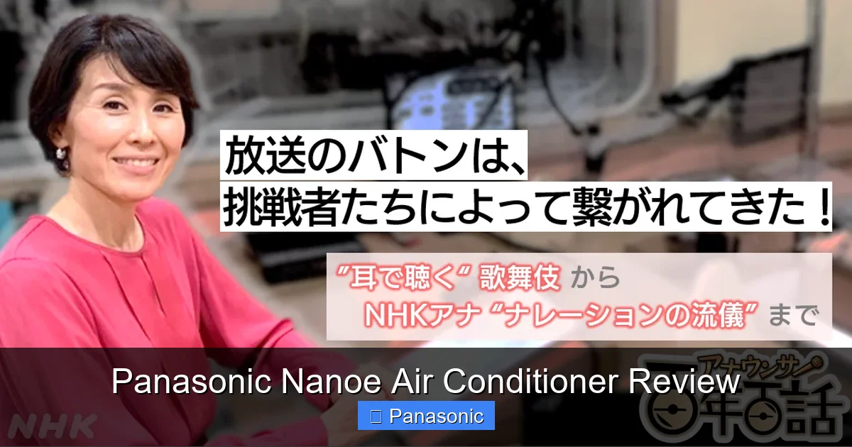 Panasonic Nanoe Air Conditioner Review