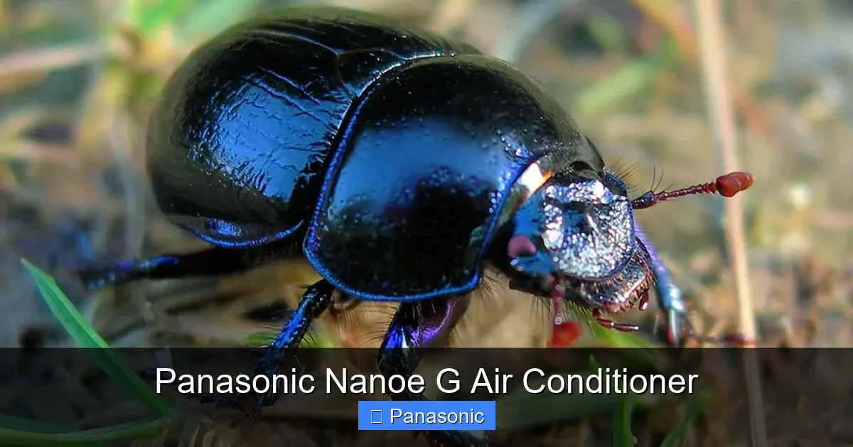 Panasonic Nanoe G Air Conditioner