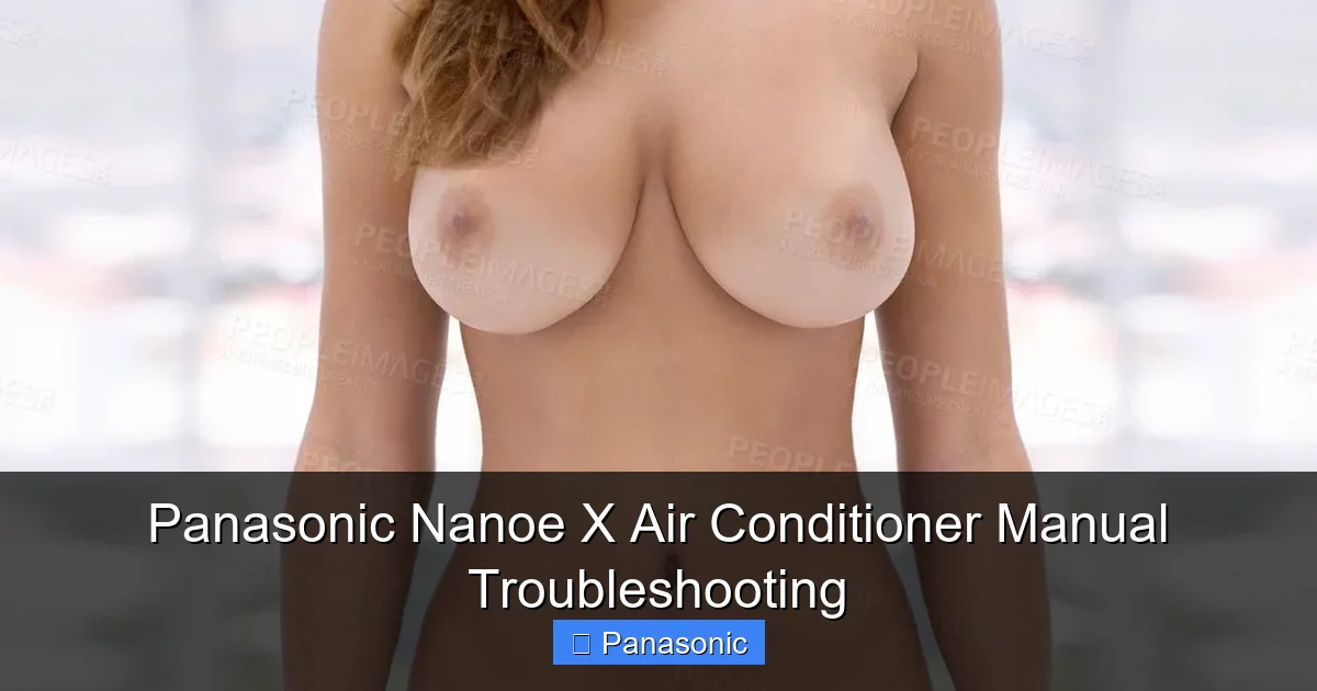 Panasonic Nanoe X Air Conditioner Manual Troubleshooting