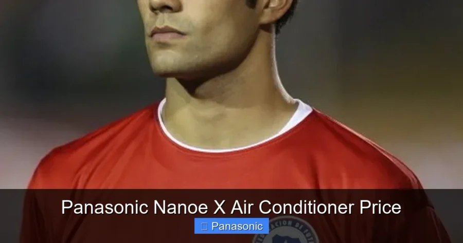 Panasonic Nanoe X Air Conditioner Price