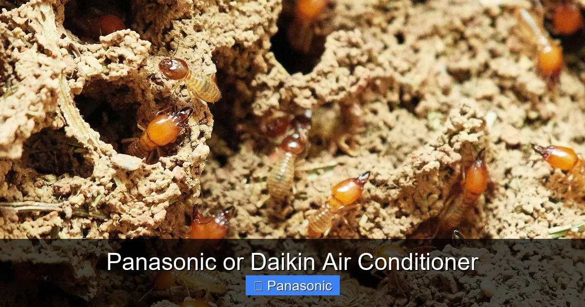 Panasonic or Daikin Air Conditioner