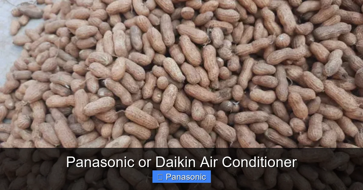 Panasonic or Daikin Air Conditioner