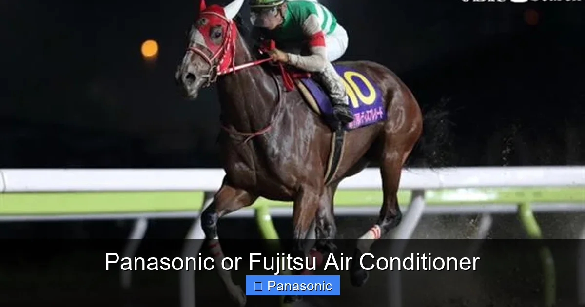 Panasonic or Fujitsu Air Conditioner