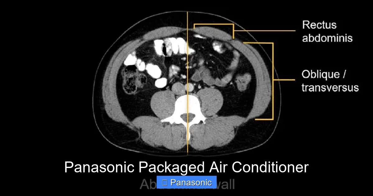 Panasonic Packaged Air Conditioner