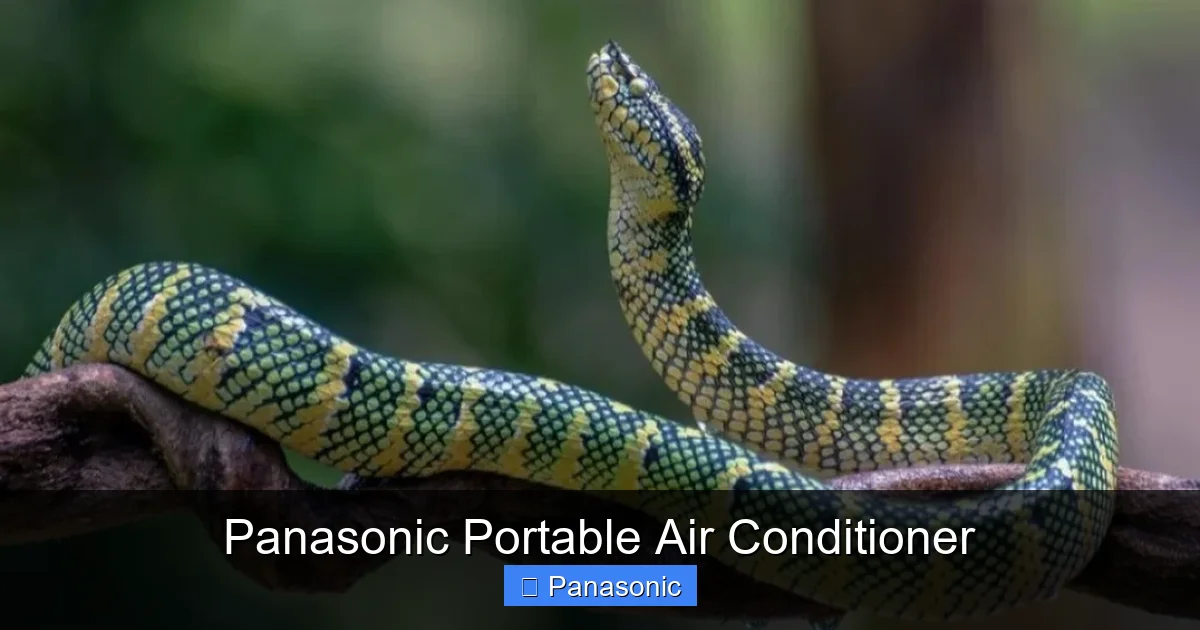 Panasonic Portable Air Conditioner