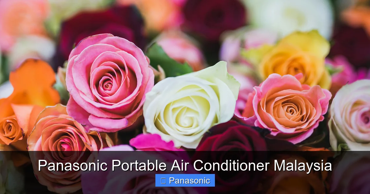Panasonic Portable Air Conditioner Malaysia