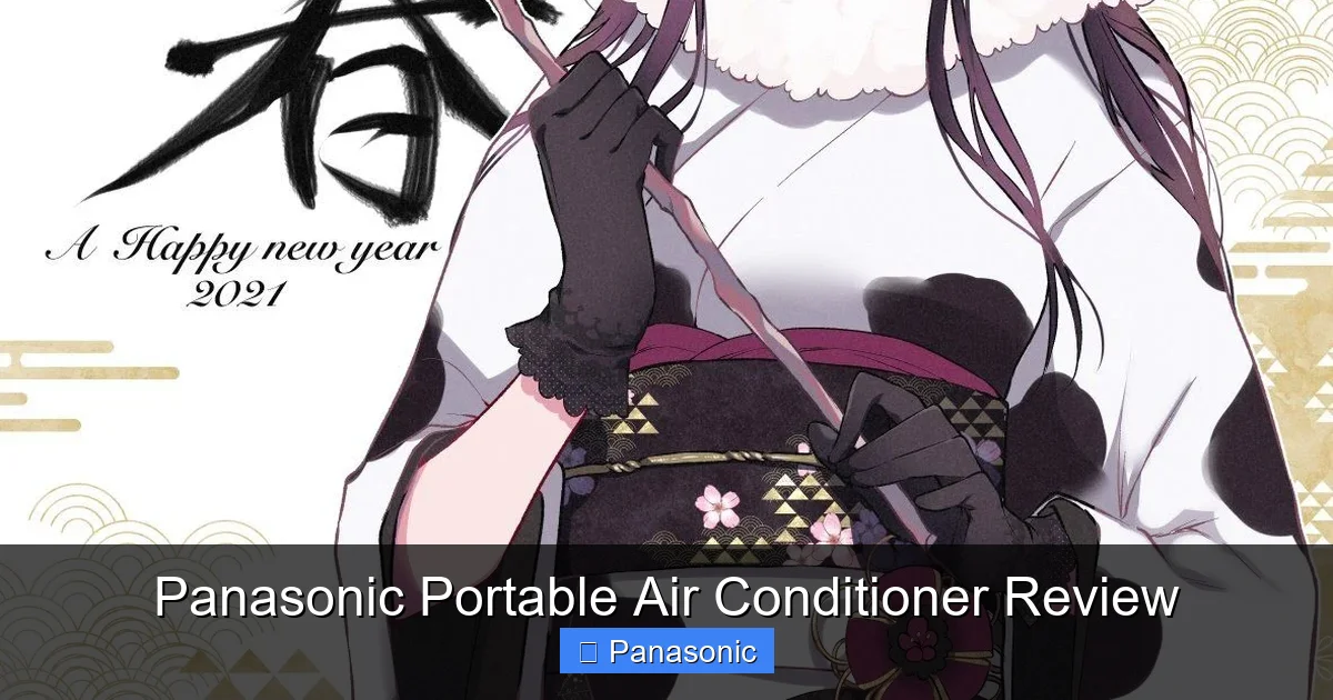 Panasonic Portable Air Conditioner Review