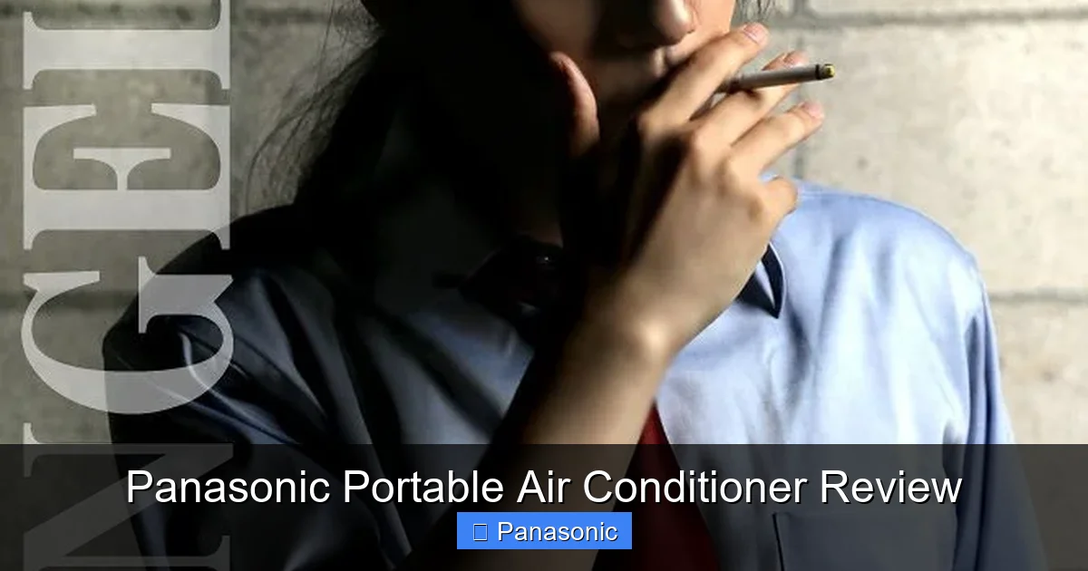 Panasonic Portable Air Conditioner Review