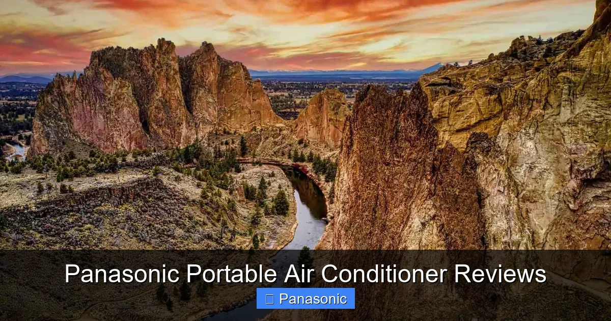 Panasonic Portable Air Conditioner Reviews