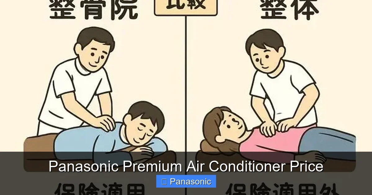 Panasonic Premium Air Conditioner Price