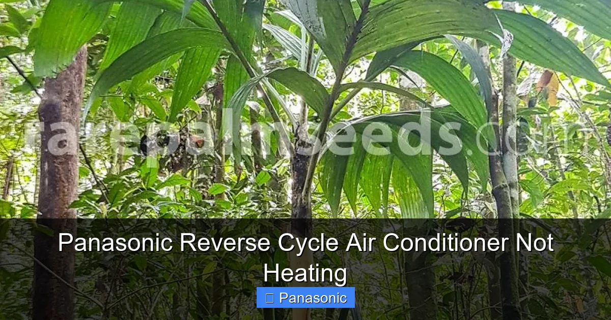 Panasonic Reverse Cycle Air Conditioner Not Heating