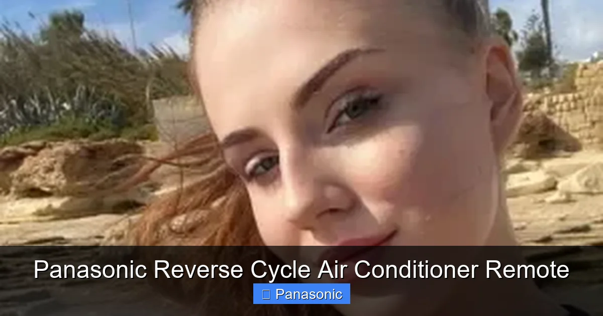 Panasonic Reverse Cycle Air Conditioner Remote