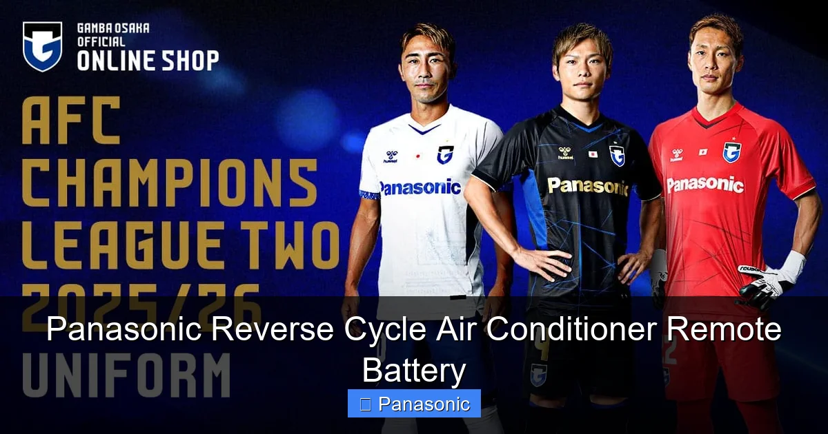 Panasonic Reverse Cycle Air Conditioner Remote Battery