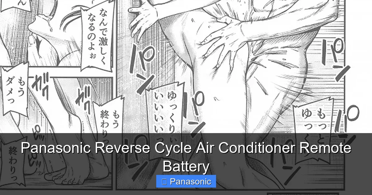 Panasonic Reverse Cycle Air Conditioner Remote Battery