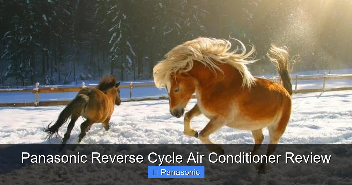 Panasonic Reverse Cycle Air Conditioner Review