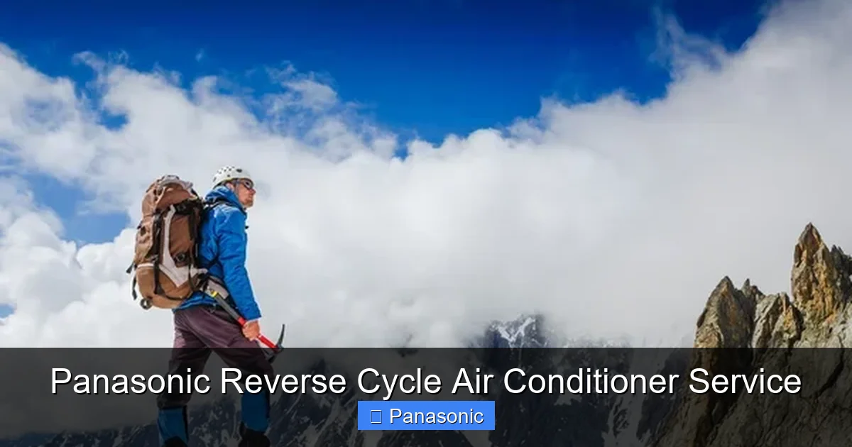 Panasonic Reverse Cycle Air Conditioner Service