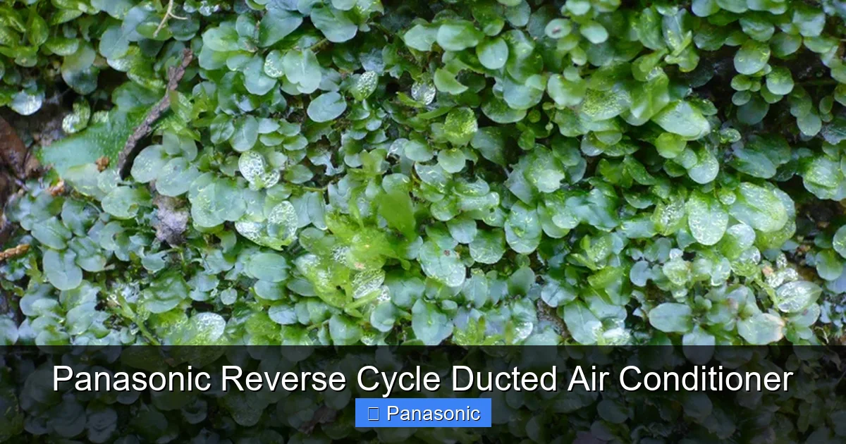 Panasonic Reverse Cycle Ducted Air Conditioner
