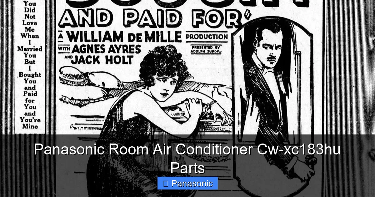 Panasonic Room Air Conditioner Cw-xc183hu Parts
