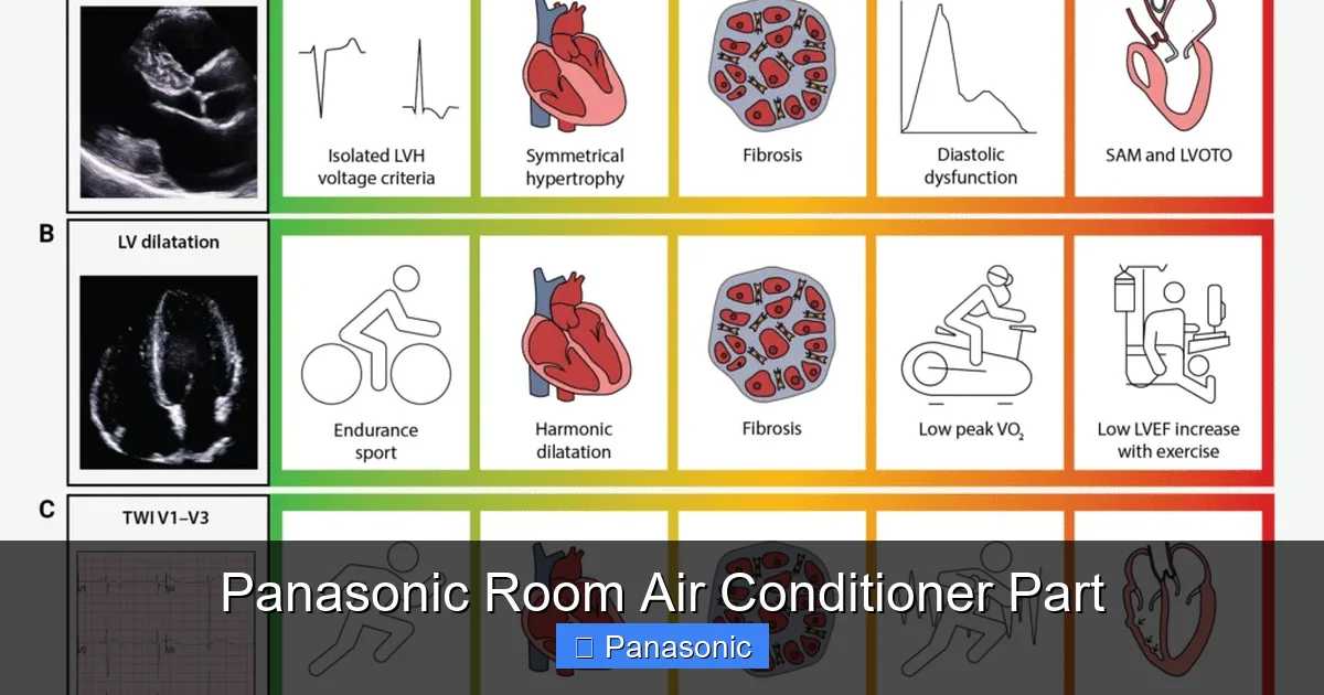 Panasonic Room Air Conditioner Part