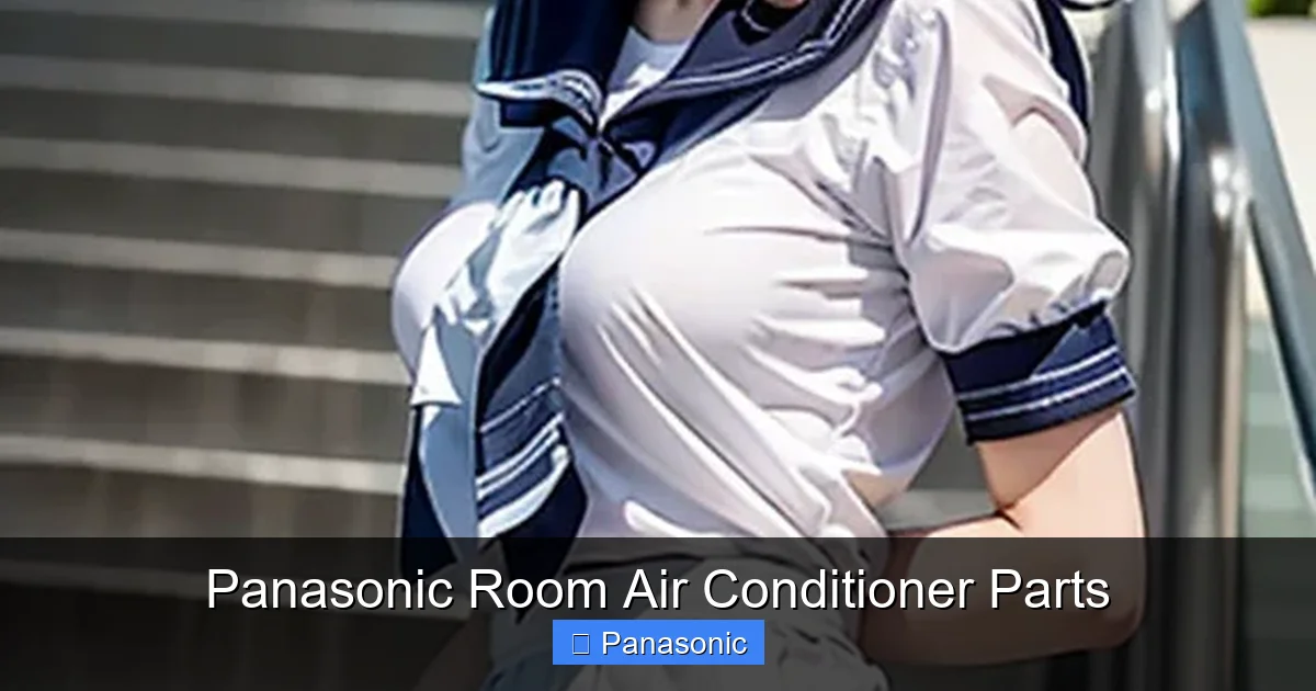 Panasonic Room Air Conditioner Parts