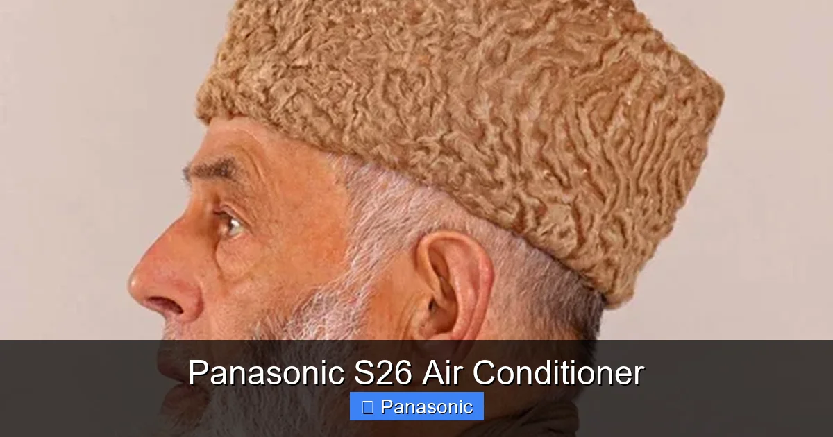 Panasonic S26 Air Conditioner