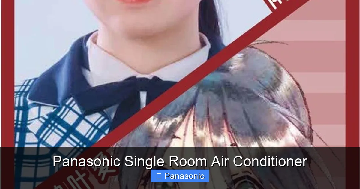 Panasonic Single Room Air Conditioner