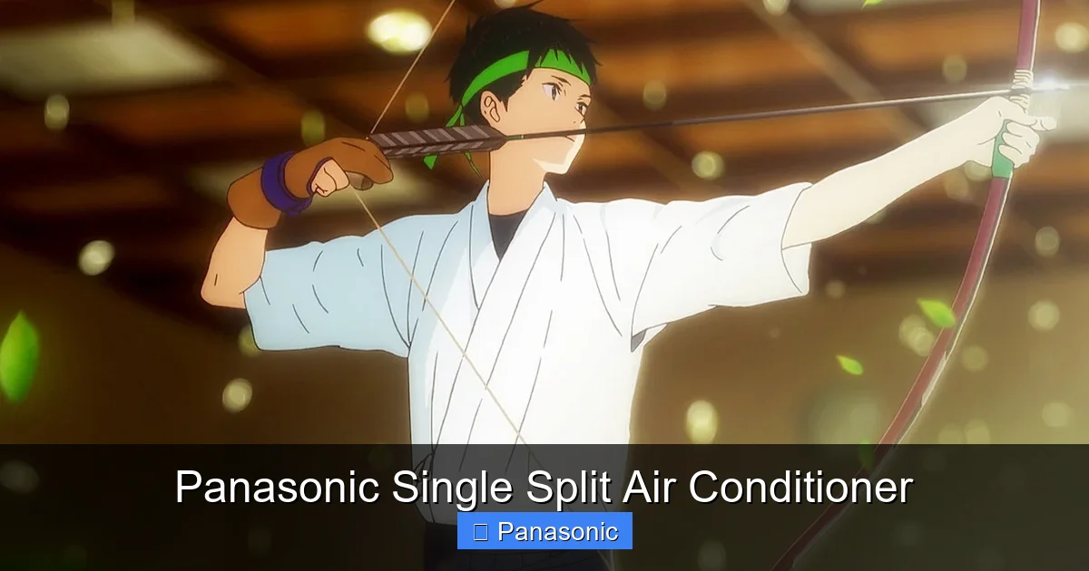 Panasonic Single Split Air Conditioner