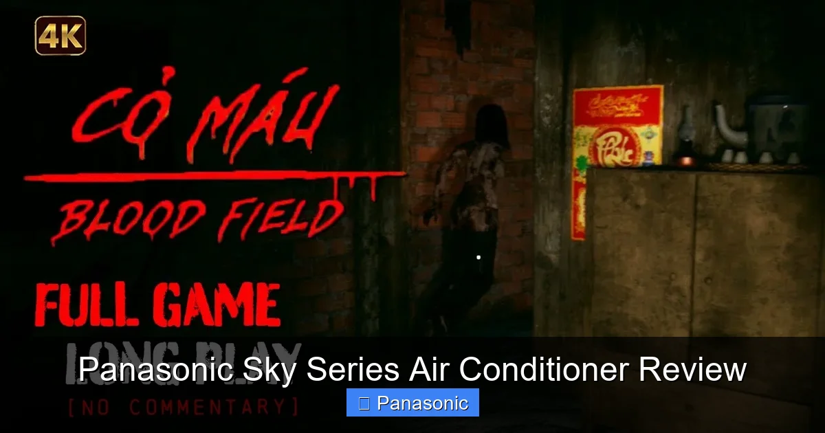 Panasonic Sky Series Air Conditioner Review