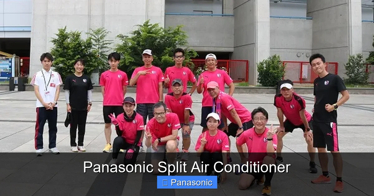 Panasonic Split Air Conditioner