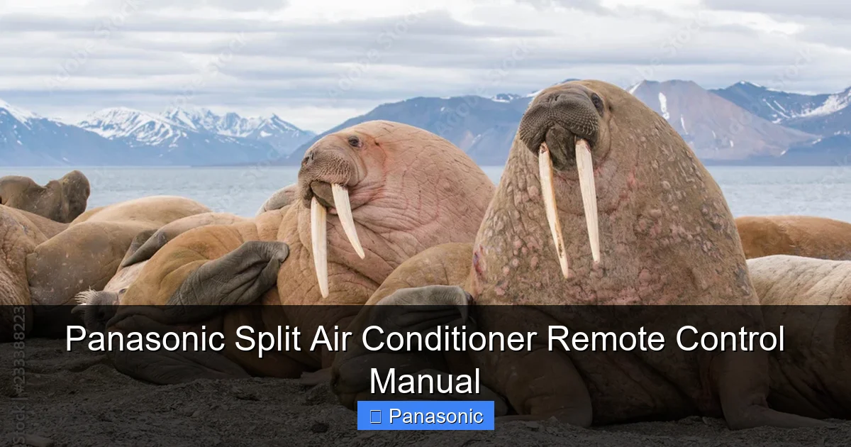 Panasonic Split Air Conditioner Remote Control Manual