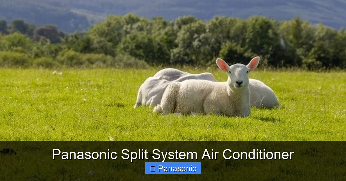 Panasonic Split System Air Conditioner