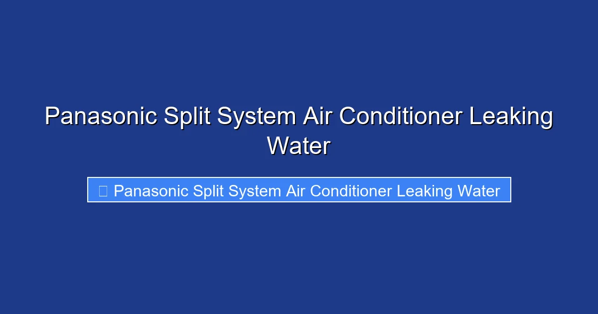 Panasonic Split System Air Conditioner Leaking Water
