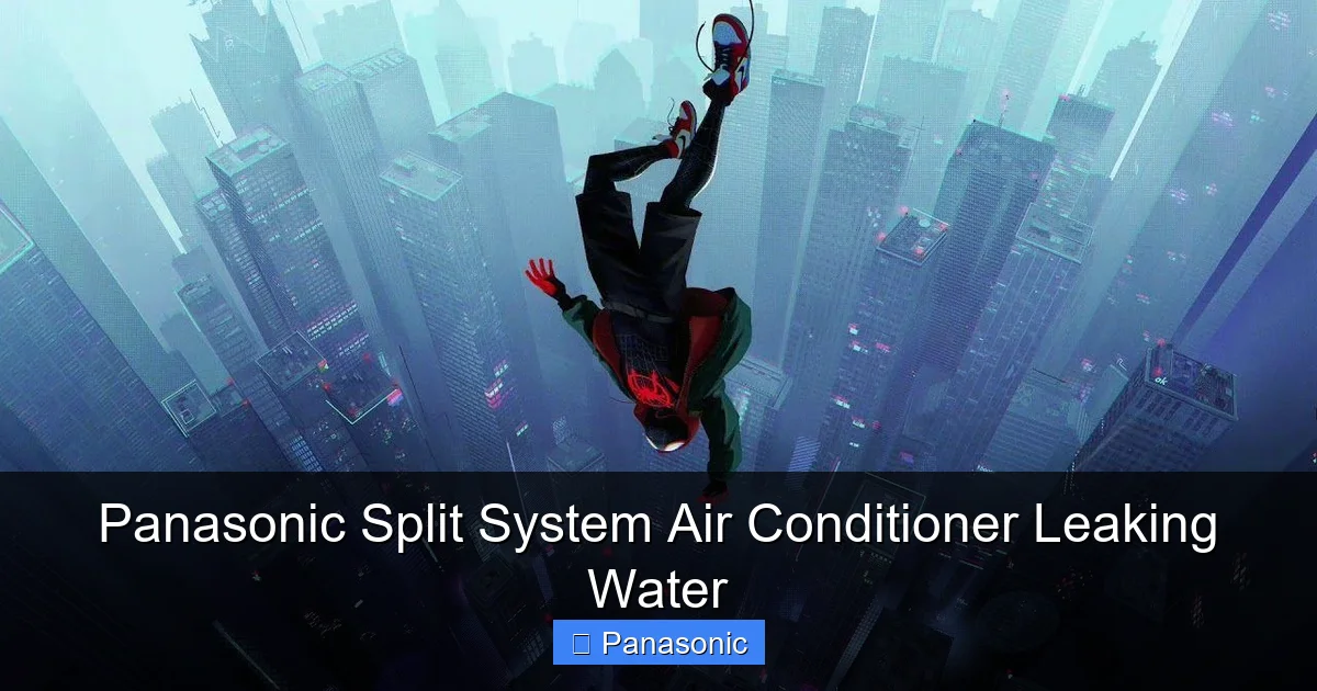 Panasonic Split System Air Conditioner Leaking Water