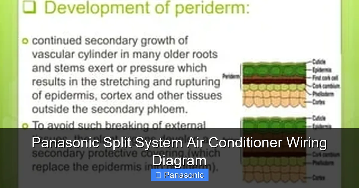 Panasonic Split System Air Conditioner Wiring Diagram