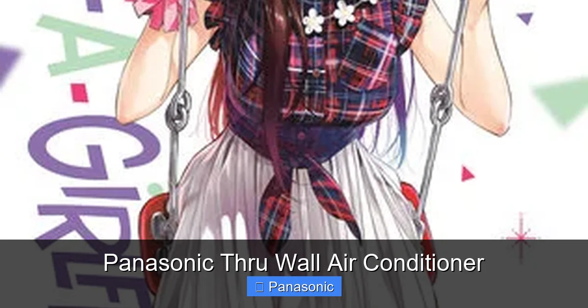 Panasonic Thru Wall Air Conditioner