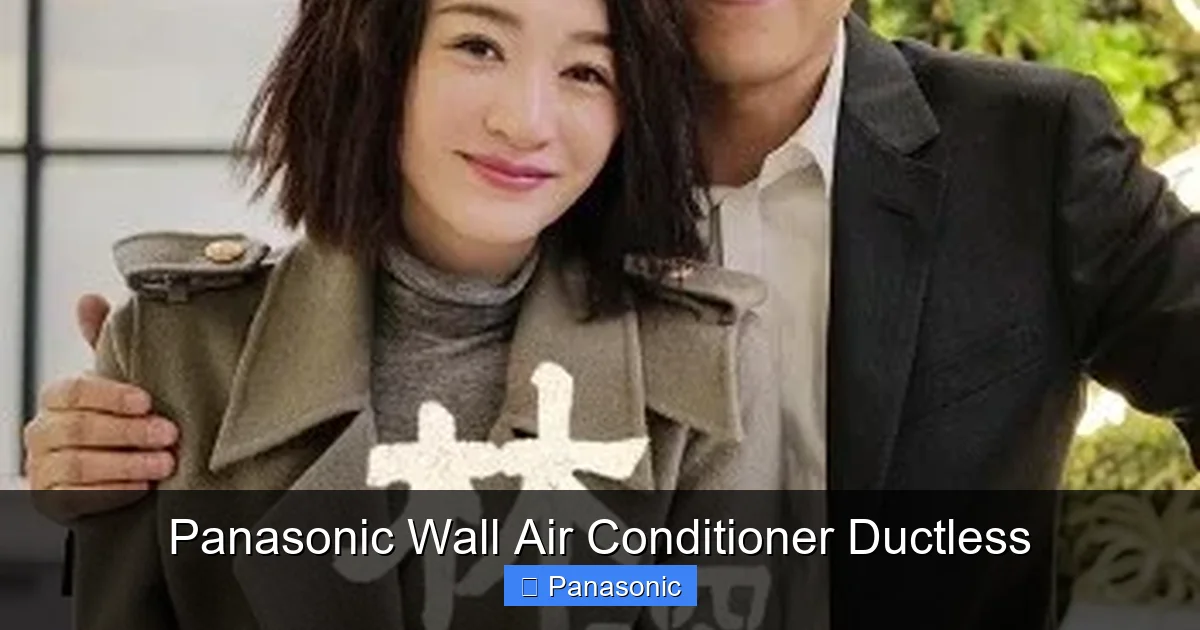 Panasonic Wall Air Conditioner Ductless