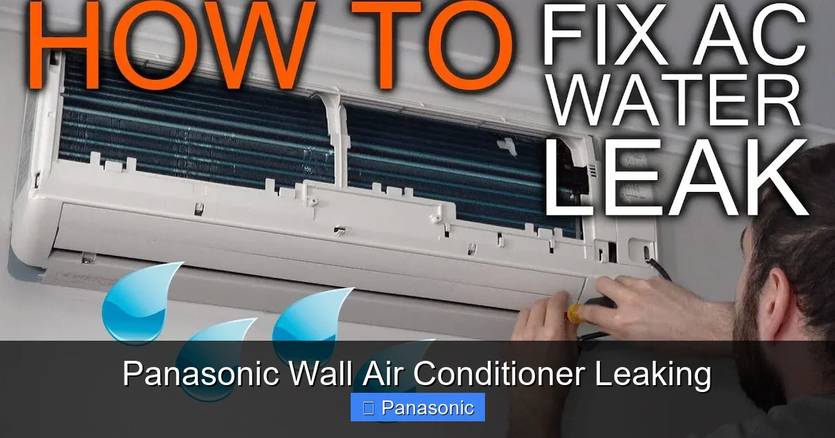 Panasonic Wall Air Conditioner Leaking