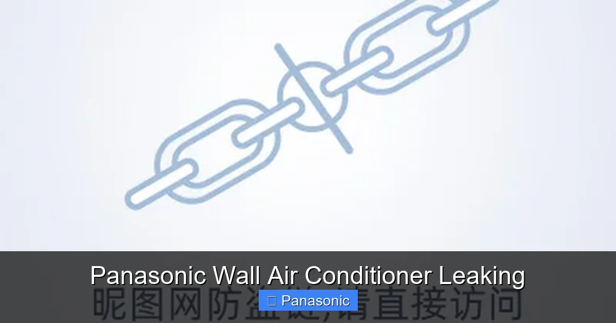 Panasonic Wall Air Conditioner Leaking