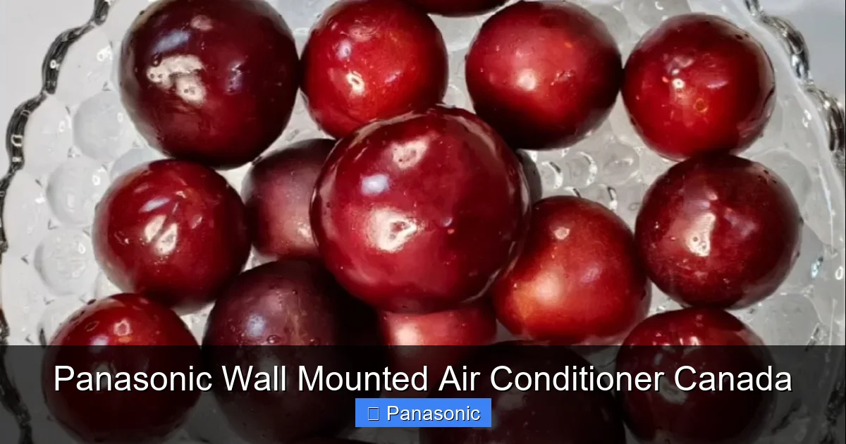 Panasonic Wall Mounted Air Conditioner Canada