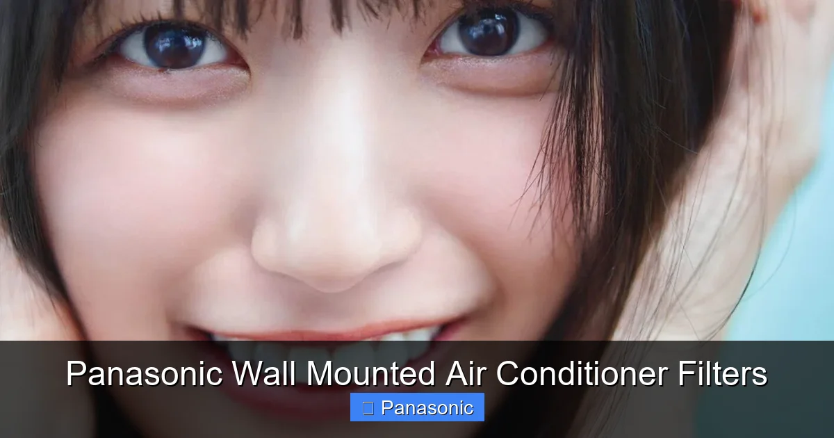 Panasonic Wall Mounted Air Conditioner Filters