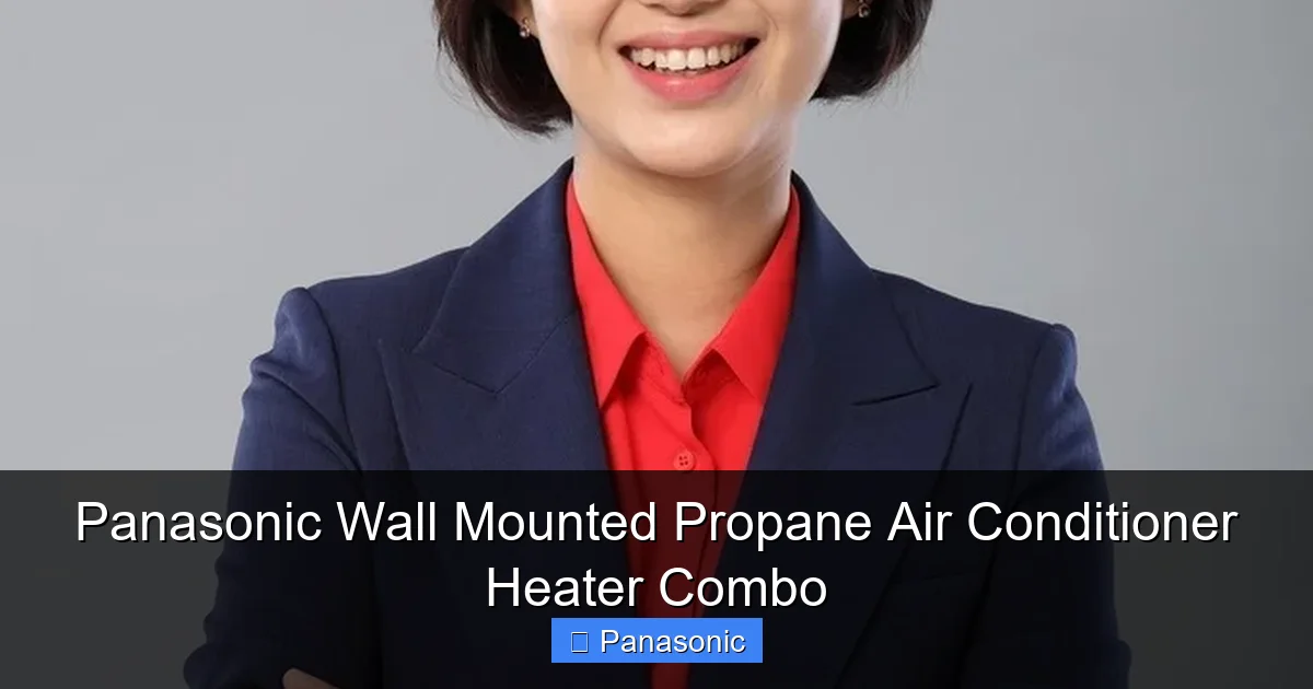 Panasonic Wall Mounted Propane Air Conditioner Heater Combo