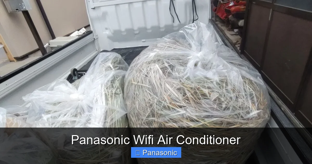 Panasonic Wifi Air Conditioner