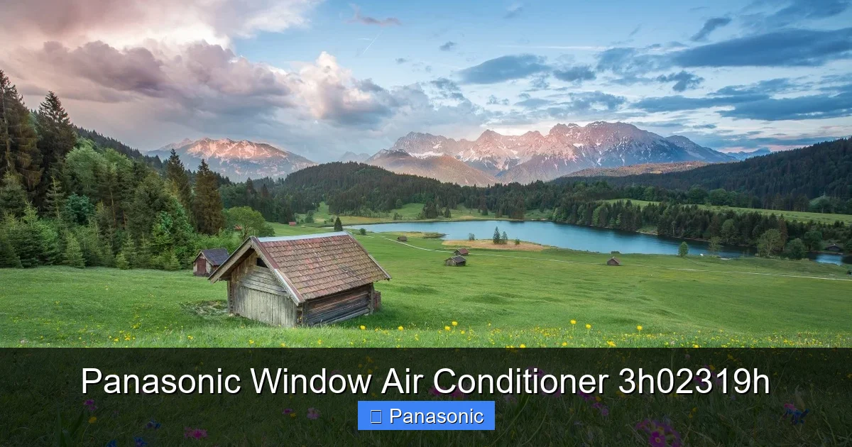 Panasonic Window Air Conditioner 3h02319h