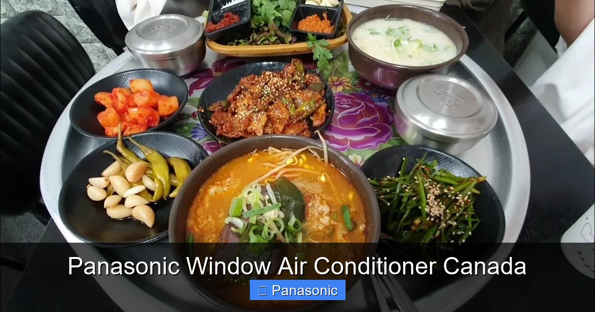 Panasonic Window Air Conditioner Canada