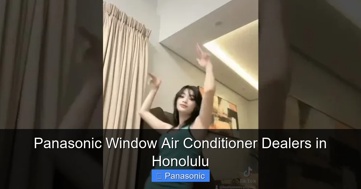 Panasonic Window Air Conditioner Dealers in Honolulu