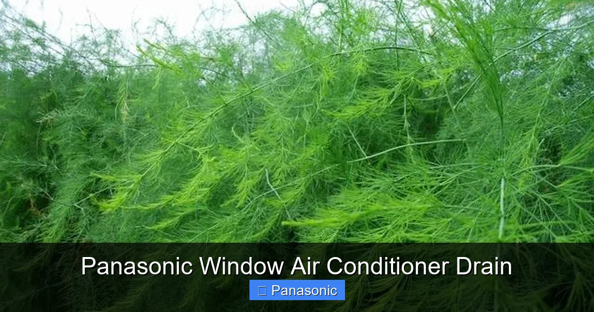 Panasonic Window Air Conditioner Drain
